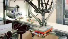 Paketleme Robotları