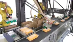 Paketleme Robotları — 2